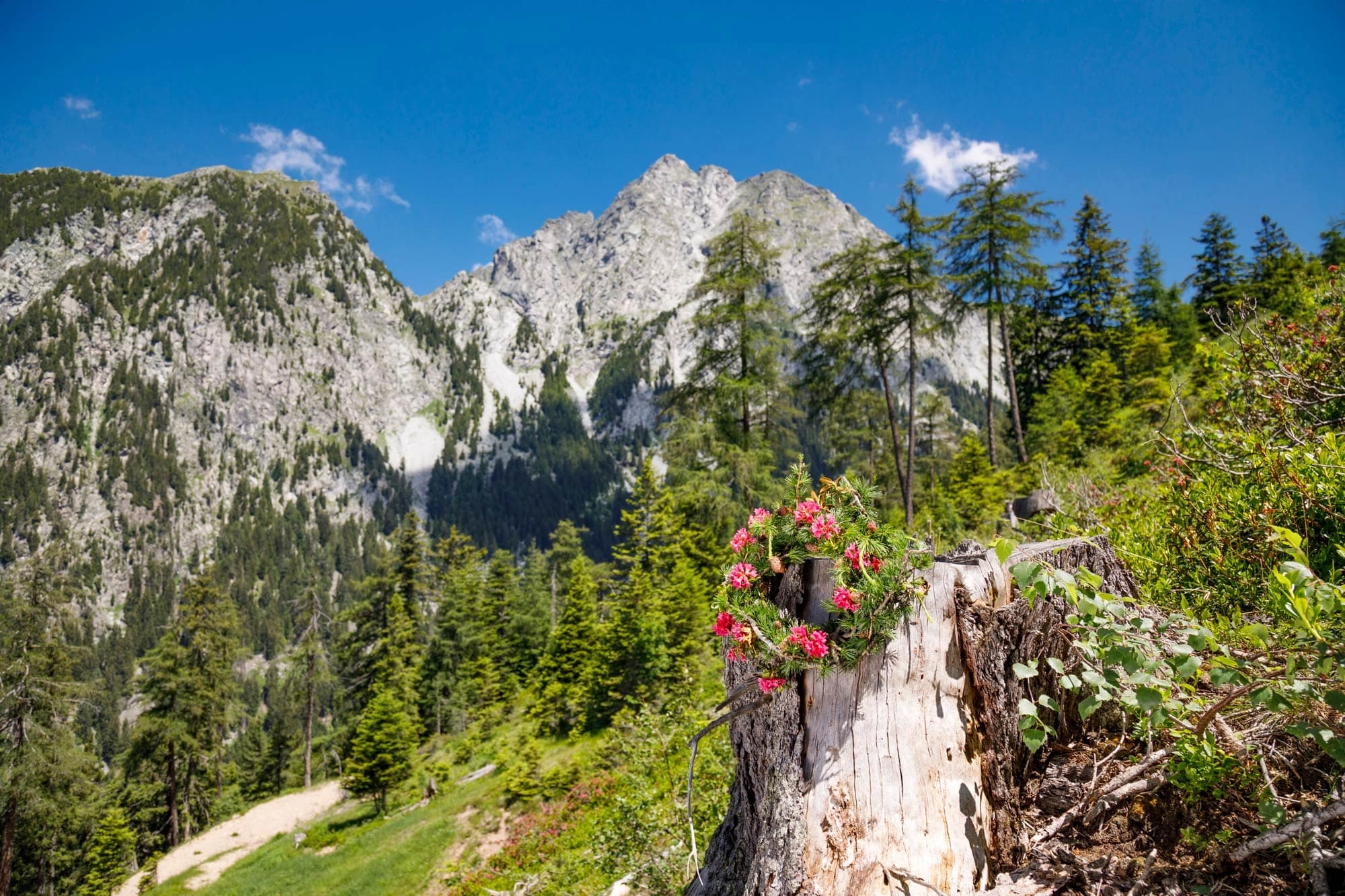 Stammgästetreff & Mai-Bergzauber auf Falzeben