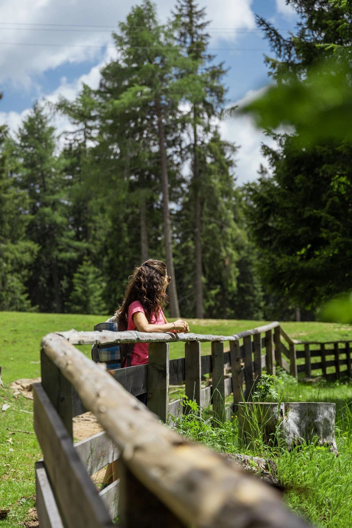 Schritt für Schritt in ein Naturerlebnis